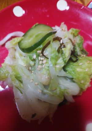 白菜の簡単漬物-レシピのメイン写真