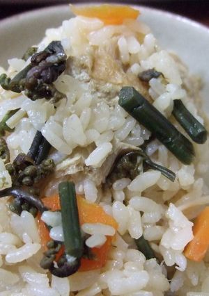 ワラビの炊き込みご飯-レシピのメイン写真