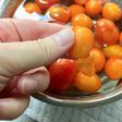 ミニトマト 冷凍で皮がツルンと剥ける♪