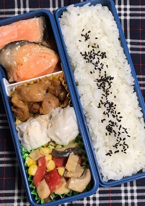 20190716マイ弁当-レシピのメイン写真