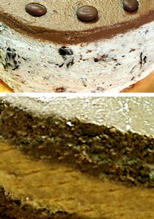 チョコムースとチョコ生のデコレーション-レシピのメイン写真