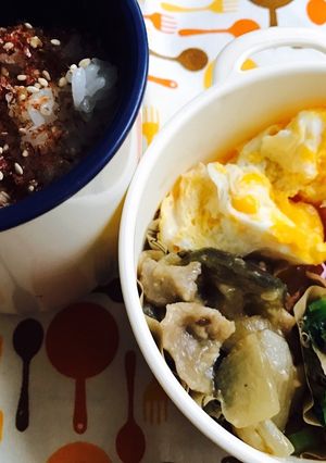 茄子と豚こま味噌炒め弁当-レシピのメイン写真