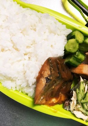 旦那弁当319♥鯖の味噌煮弁当！-レシピのメイン写真