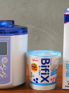 Bifix(脂肪0)でヨーグルト①-レシピのメイン写真