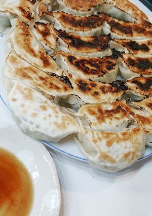 ダイエット！ヘルシー餃子꙳★*ﾟ-レシピのメイン写真