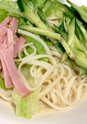 暑い時にどうぞ！サラダうどん-レシピのメイン写真