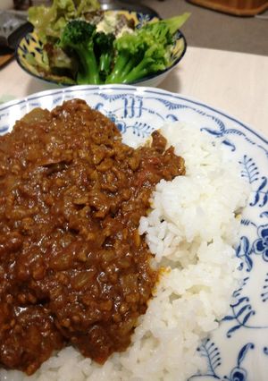 40分でキーマカレー(S&Bの素使用)-レシピのメイン写真