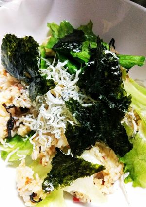 TV飯☆家事ヤロウ☆塩昆布チャーハン覚書-レシピのメイン写真