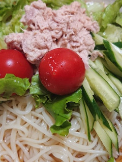 ちゃちゃっとできるサラダうどん☆-レシピのメイン写真
