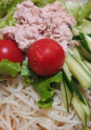 ちゃちゃっとできるサラダうどん☆-レシピのメイン写真