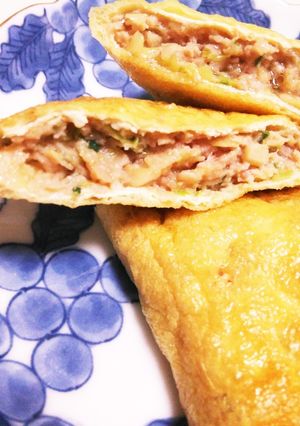 油揚げ餃子-レシピのメイン写真