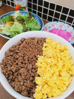 濃いめの味でご飯がすすむ!簡単*そぼろ丼-レシピのメイン写真