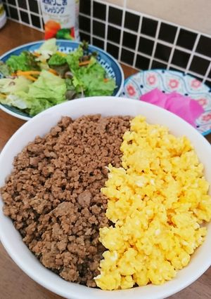濃いめの味でご飯がすすむ！簡単＊そぼろ丼-レシピのメイン写真