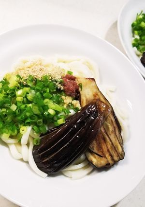 なすが主役のさっぱりうどん-レシピのメイン写真