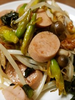 カンゾウの蕾と野菜等の油炒め(^^)-レシピのメイン写真
