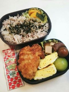 お弁当(7/23)とんかつ弁当-レシピのメイン写真