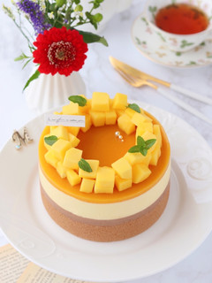 チョコっとマンゴームースケーキ♡-レシピのメイン写真