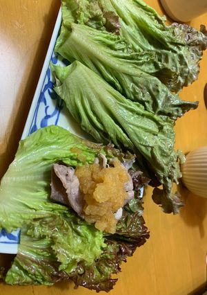 簡単ヘルシー豚ポン酢-レシピのメイン写真