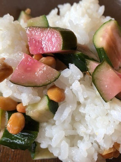 納豆とさくら大根風きゅうりのご飯-レシピのメイン写真