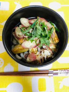 夏でも冬でも♬薬味たっぷりうどん-レシピのメイン写真