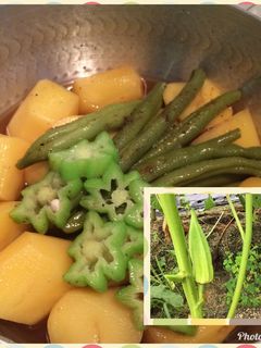 オクラ、じゃがいも、インゲン煮-レシピのメイン写真