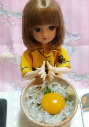 リカちゃんサイズ♡野球シリ*しらす丼-レシピのメイン写真