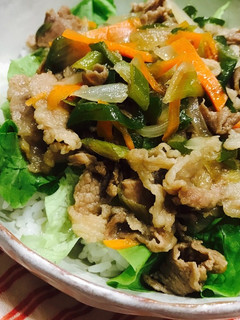 甘辛豚丼-レシピのメイン写真