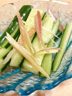 簡単♪きゅうりとミョウガの浅漬け-レシピのメイン写真