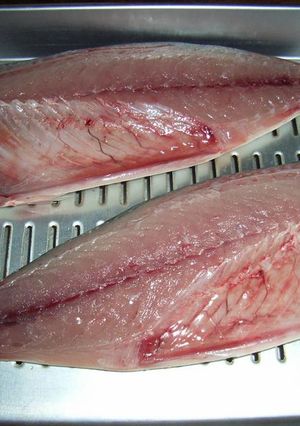 鯖の三枚おろし-レシピのメイン写真
