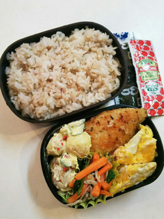 お弁当(7/24)白身魚フライ-レシピのメイン写真