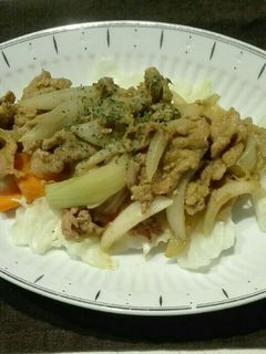 減塩 豚肉のカレー炒め-レシピのメイン写真