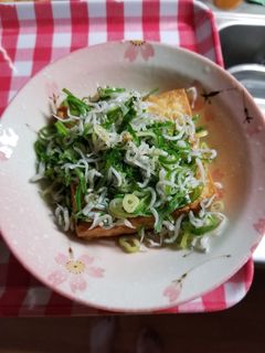 ねぎたっぷり厚揚げ-レシピのメイン写真