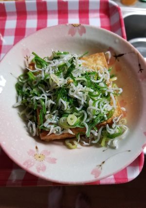 ねぎたっぷり厚揚げ-レシピのメイン写真
