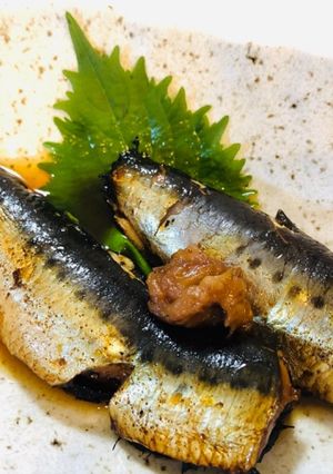 圧力鍋で10分！鰯の梅煮-レシピのメイン写真