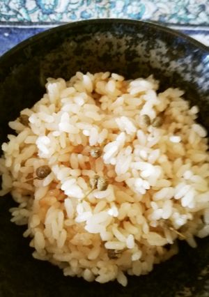 夏のお弁当に　山椒かやくごはん-レシピのメイン写真