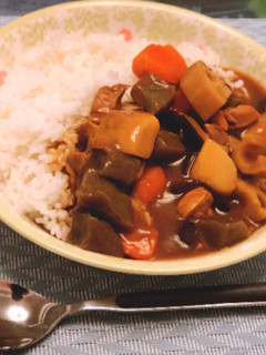 余った筑前煮で和風カレー!-レシピのメイン写真