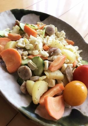 中学生が作る!?簡単夏野菜たっぷりサラダ-レシピのメイン写真