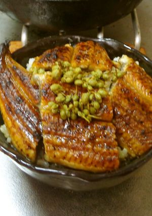 最速のうなぎのステーキ丼-レシピのメイン写真