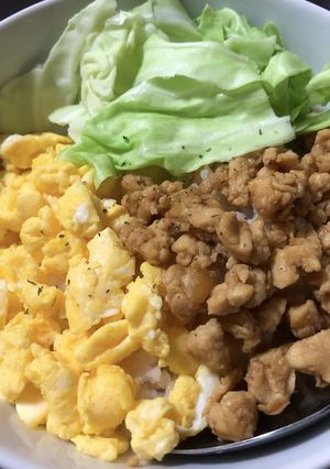 【低残渣&低脂質】そぼろ玉子丼-レシピのメイン写真