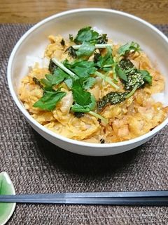 簡単、おいしい、すぐできる!!親子丼-レシピのメイン写真