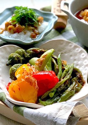 ダイエットに！あっさり鰹風味の焼きびたし-レシピのメイン写真