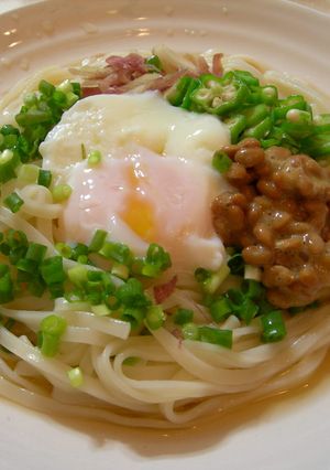 温たまのせふわっネバうどん-レシピのメイン写真