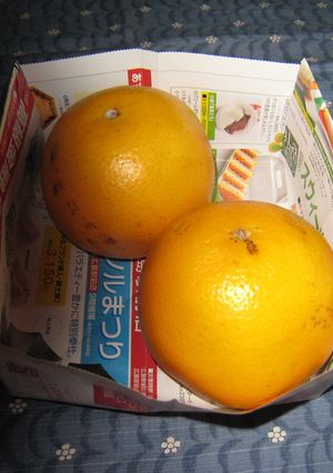 おっ便利!★何でもいれ-レシピのメイン写真