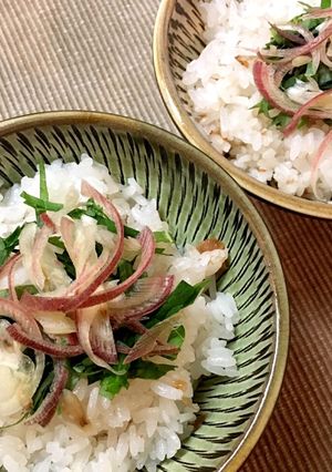 梅干しの炊き込みご飯☆-レシピのメイン写真
