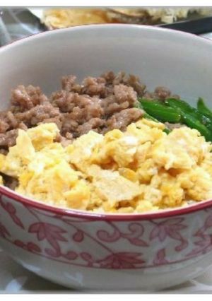 ３色そぼろ丼-レシピのメイン写真