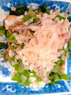 薬味たっぷり厚揚げ納豆-レシピのメイン写真