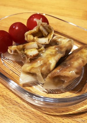 餃子の皮が〜B-レシピのメイン写真