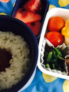 唐揚げ弁当②-レシピのメイン写真