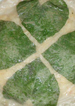幸福を呼ぶかもしれない＾＾♪大きな餃子♪-レシピのメイン写真