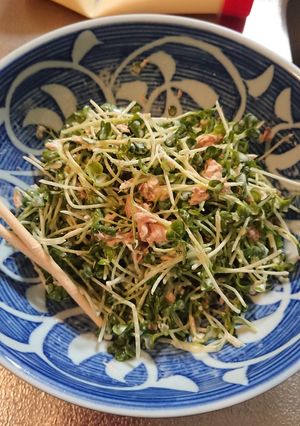 かいわれ大根シーチキンのマヨサラダ-レシピのメイン写真